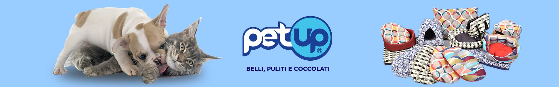 Petup